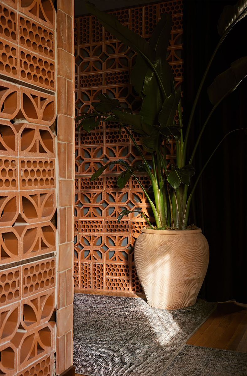 Jali and mosaic collection cover